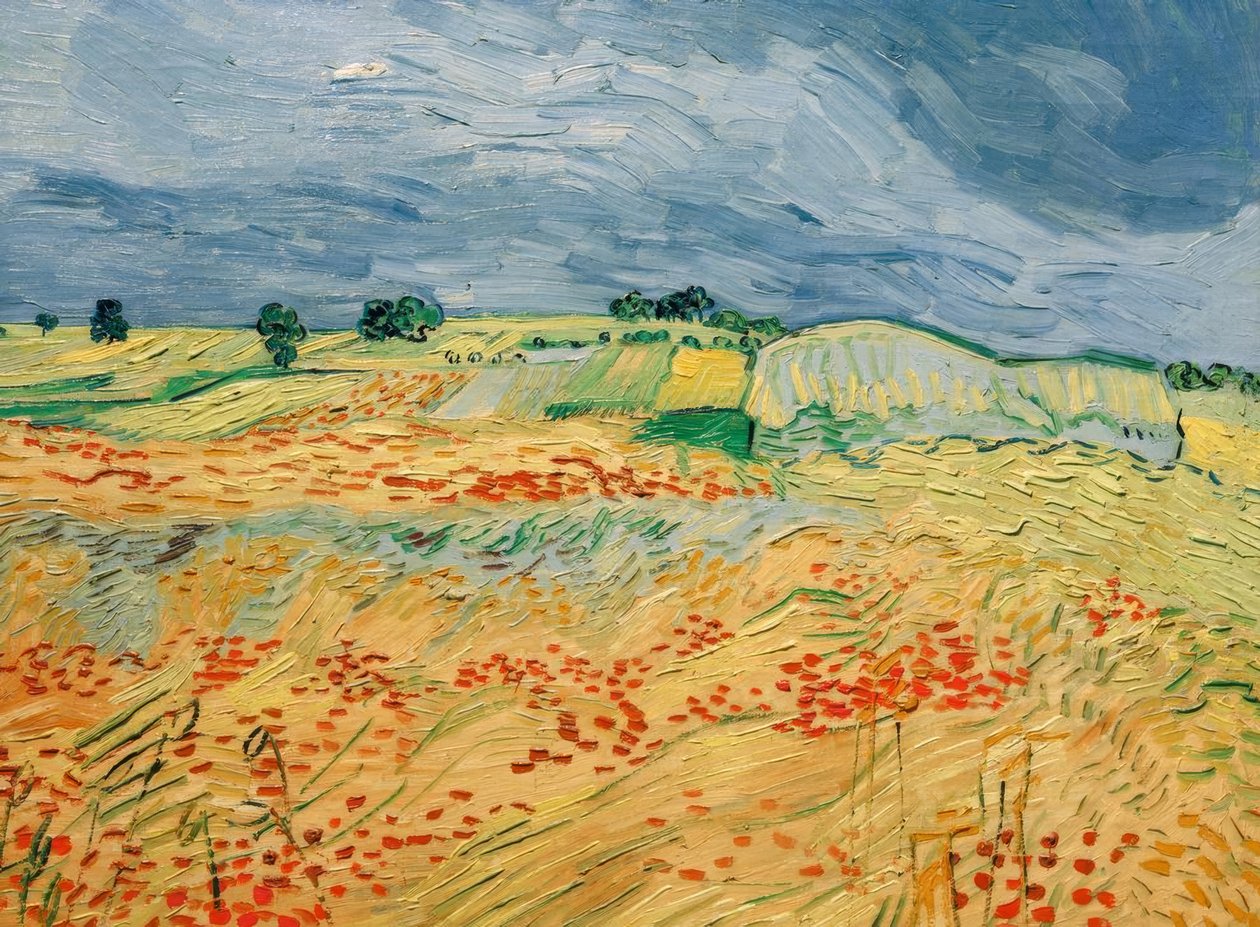 Fält med blommande vallmo av Vincent van Gogh