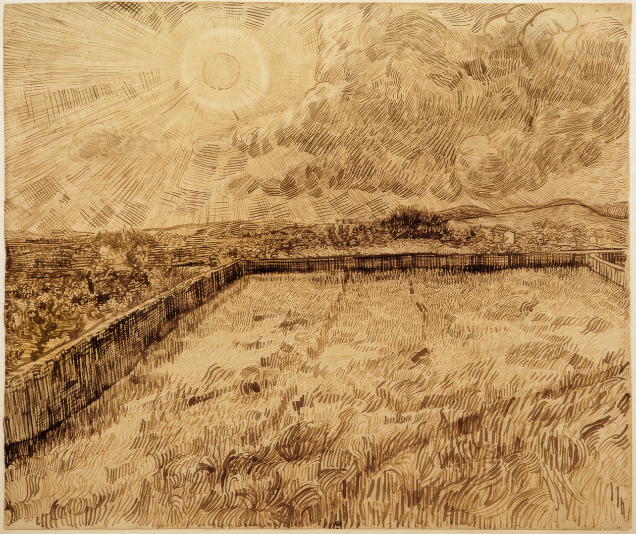 Åkrar och olivträd av Vincent van Gogh