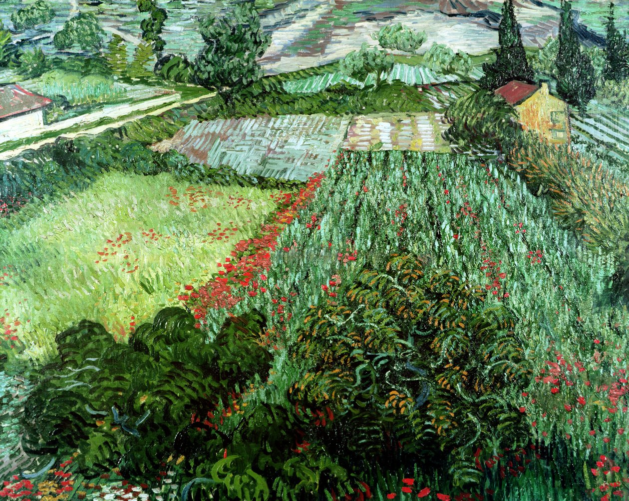Åker med vallmo, 1889 av Vincent van Gogh