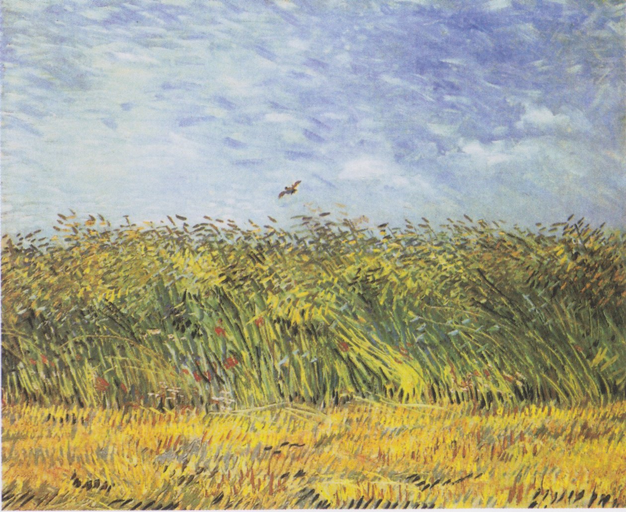 Kornfält med vallmo och lärka av Vincent van Gogh