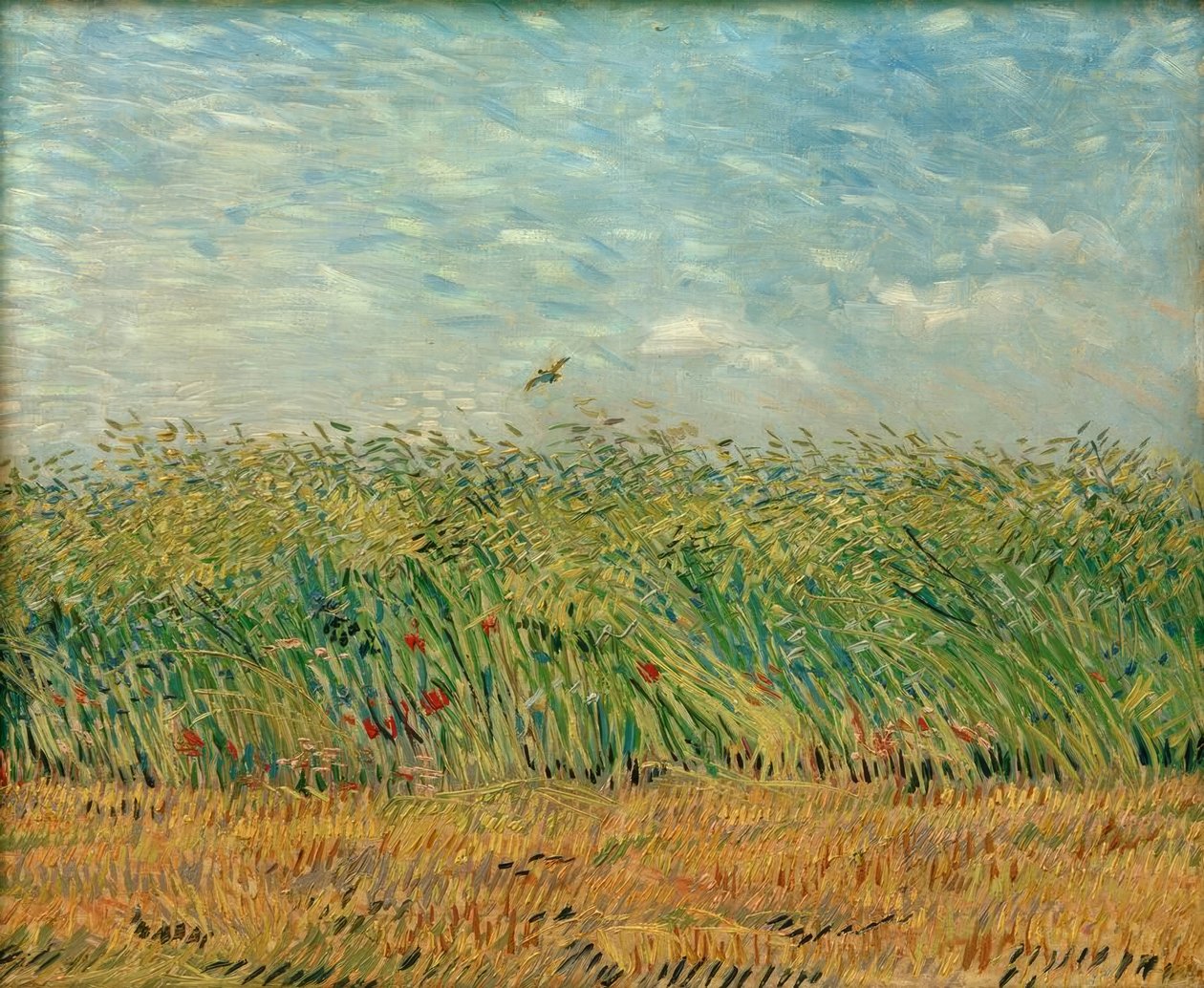 Spannmålsfält med vallmo och rapphöna av Vincent van Gogh