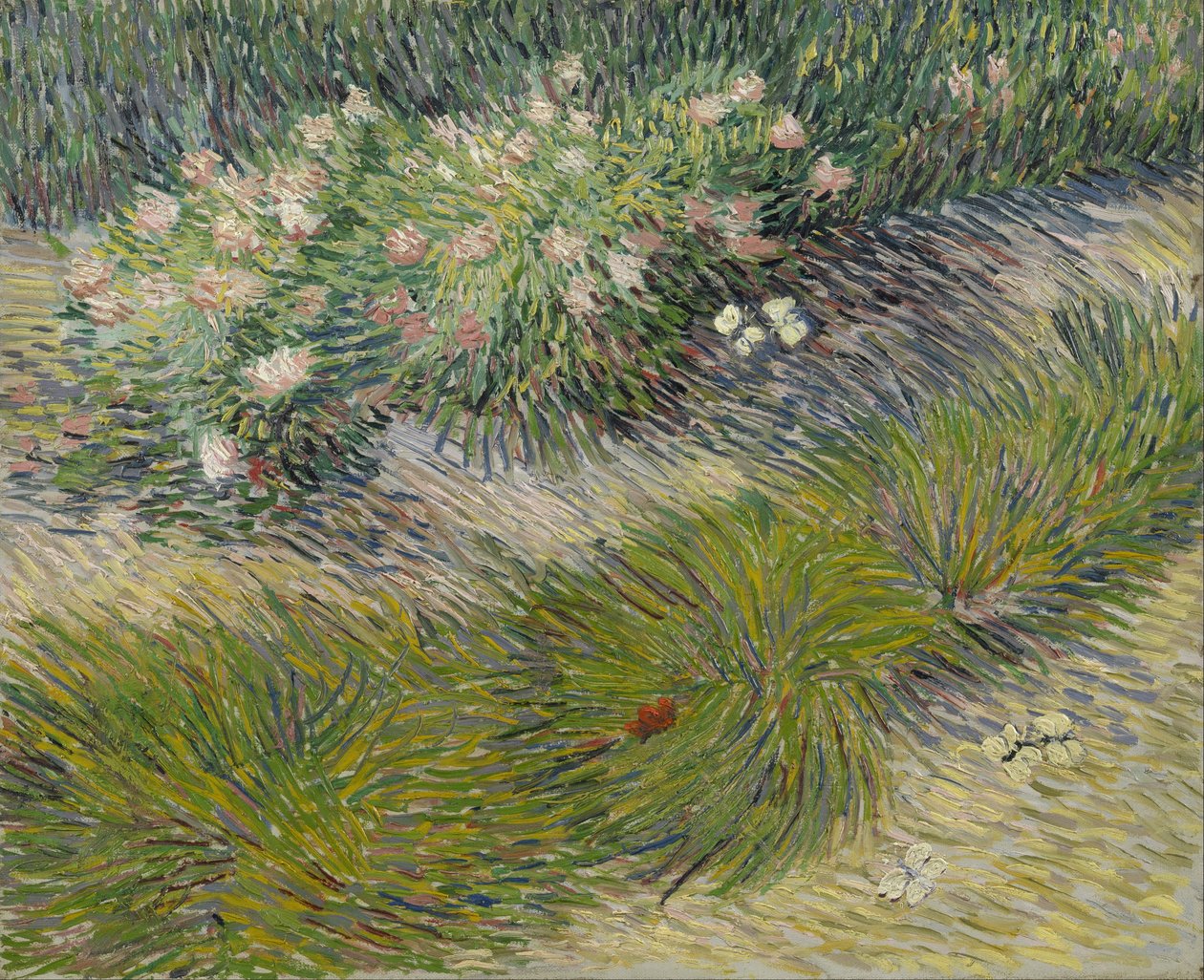 Gräs och fjärilar av Vincent van Gogh