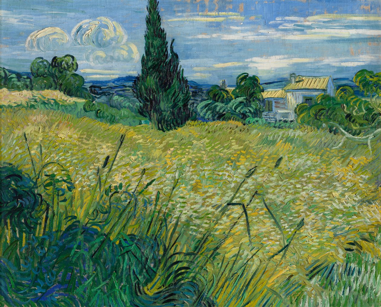 Grönt vete, 1889 av Vincent van Gogh