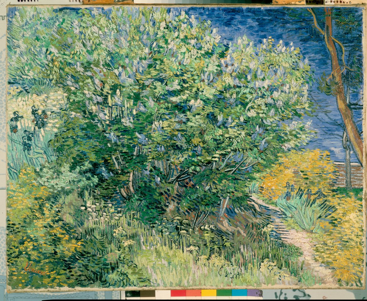 Lila Bush av Vincent van Gogh