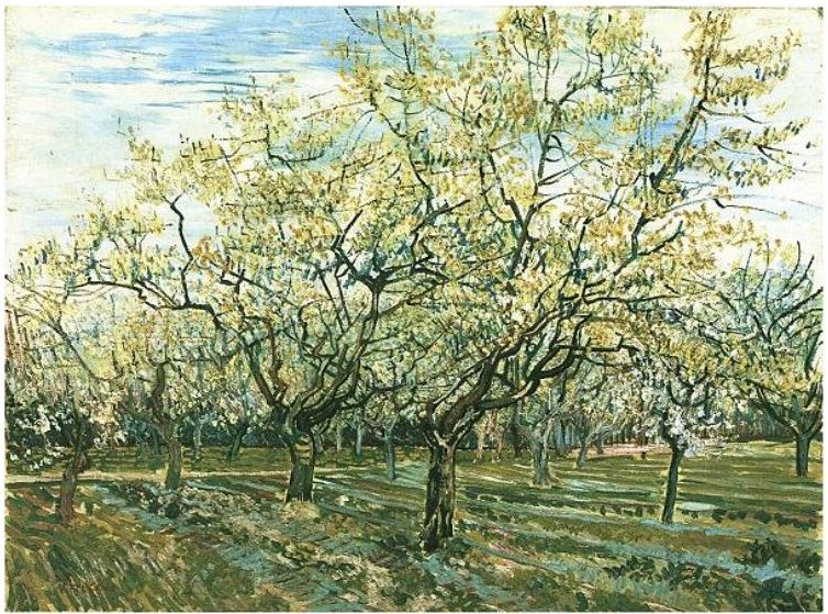 Obstgarten mit blühenden Pflaumenbäumen av Vincent van Gogh