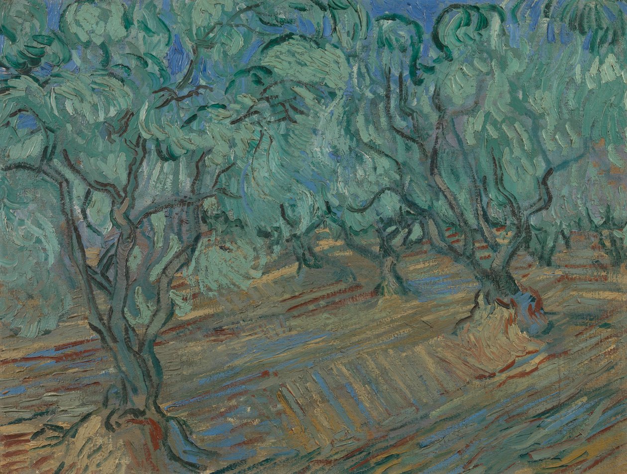 Olivlund av Vincent van Gogh