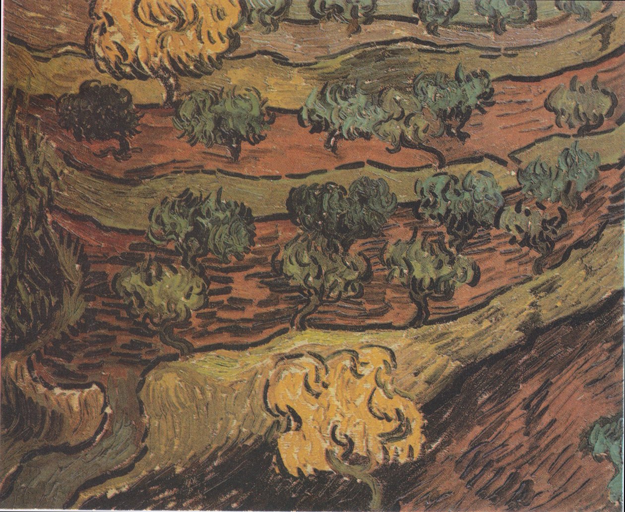 Olivträd på en kulle av Vincent van Gogh