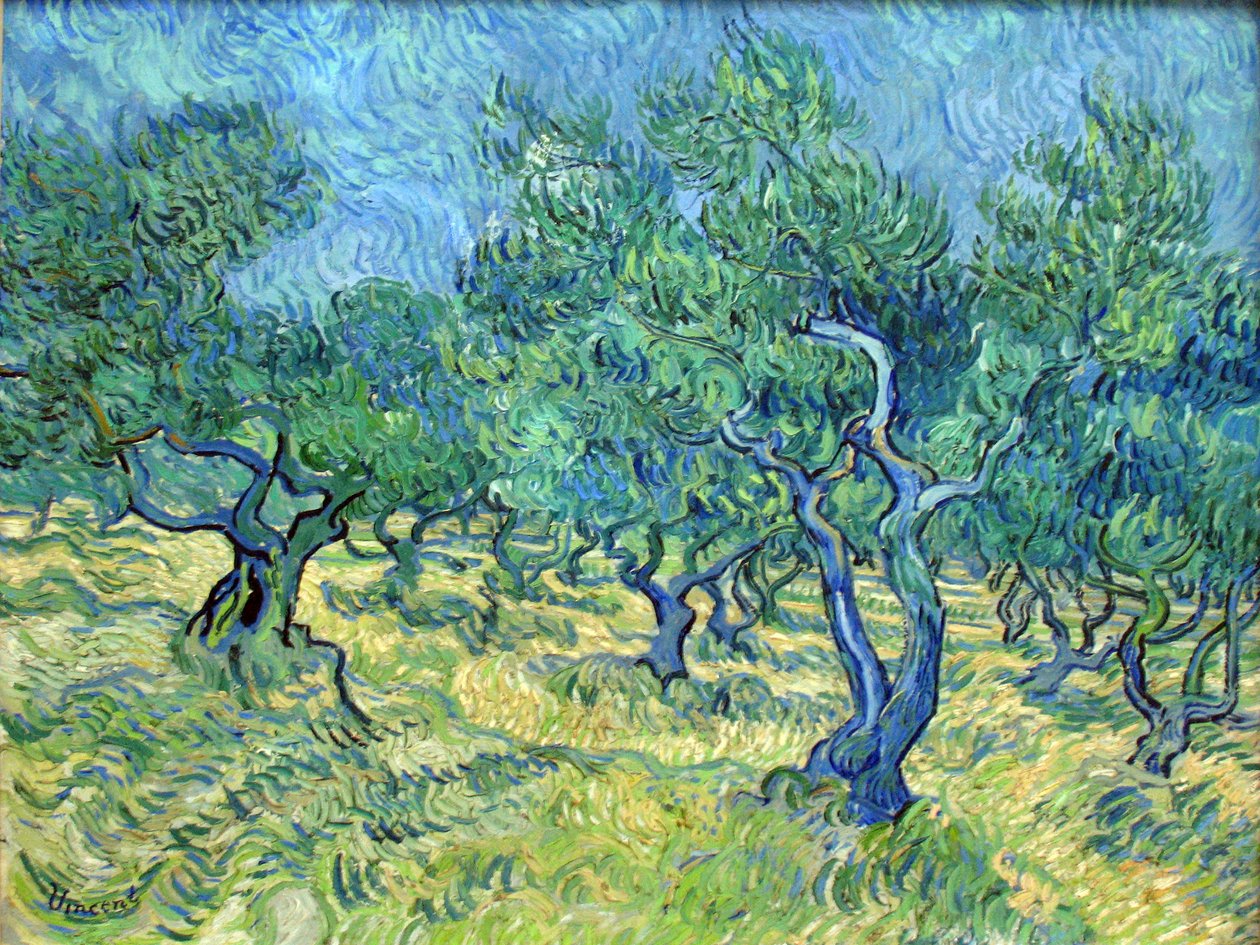 Olivengarten av Vincent van Gogh