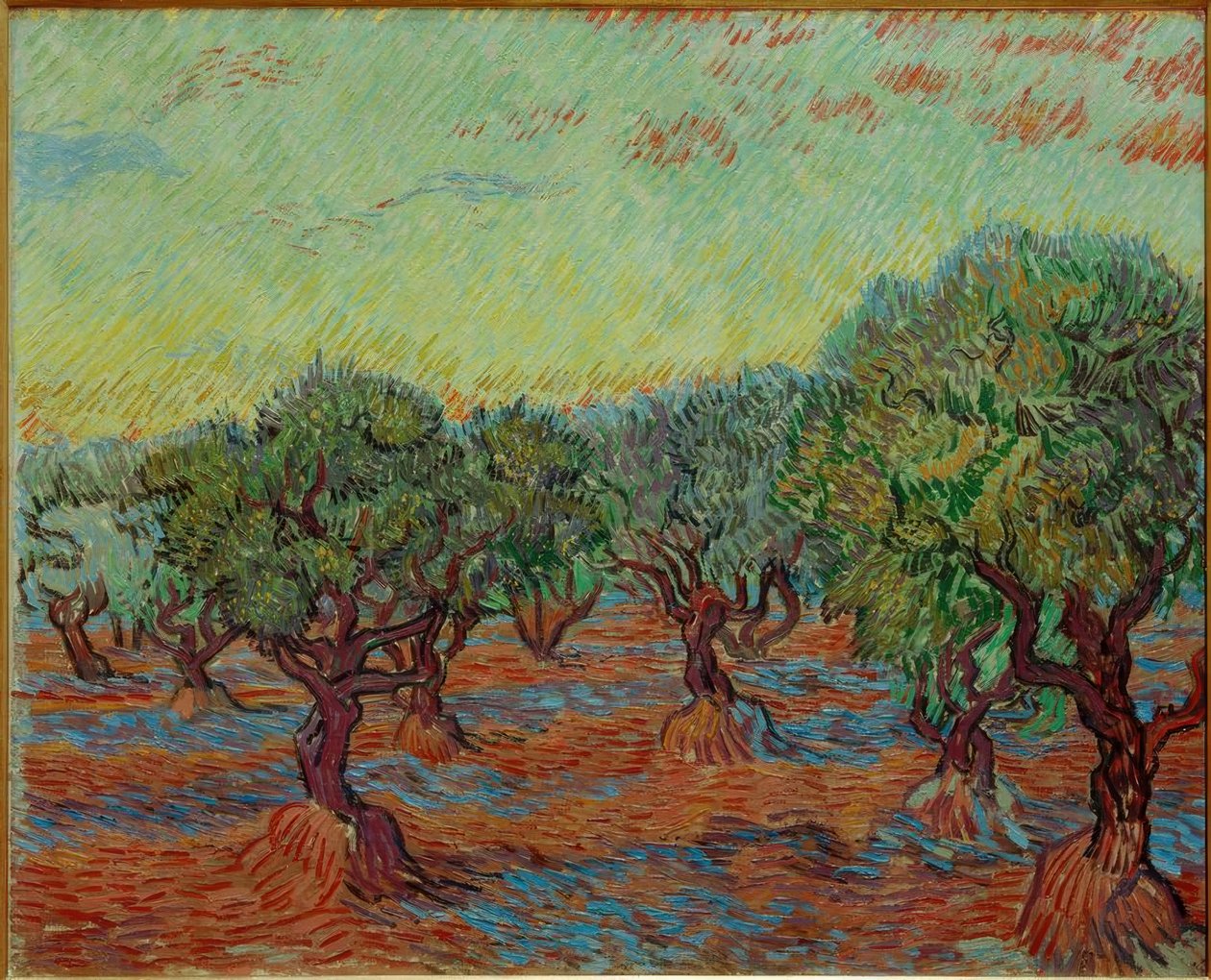 Olivlund av Vincent van Gogh