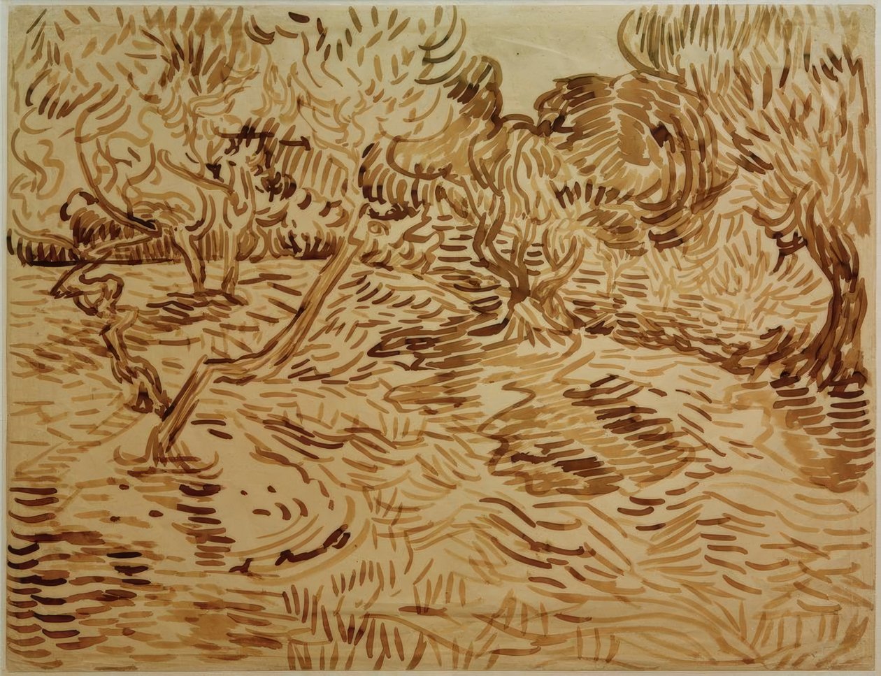 Olivlund av Vincent van Gogh