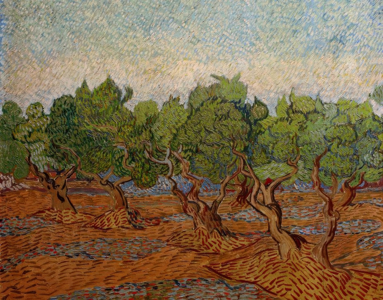 Olivlund av Vincent van Gogh