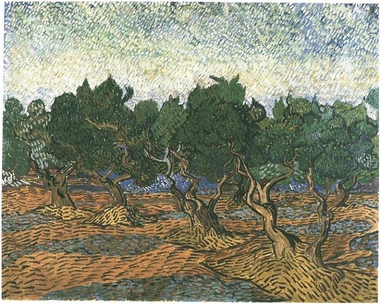 Olivenhain3 av Vincent van Gogh