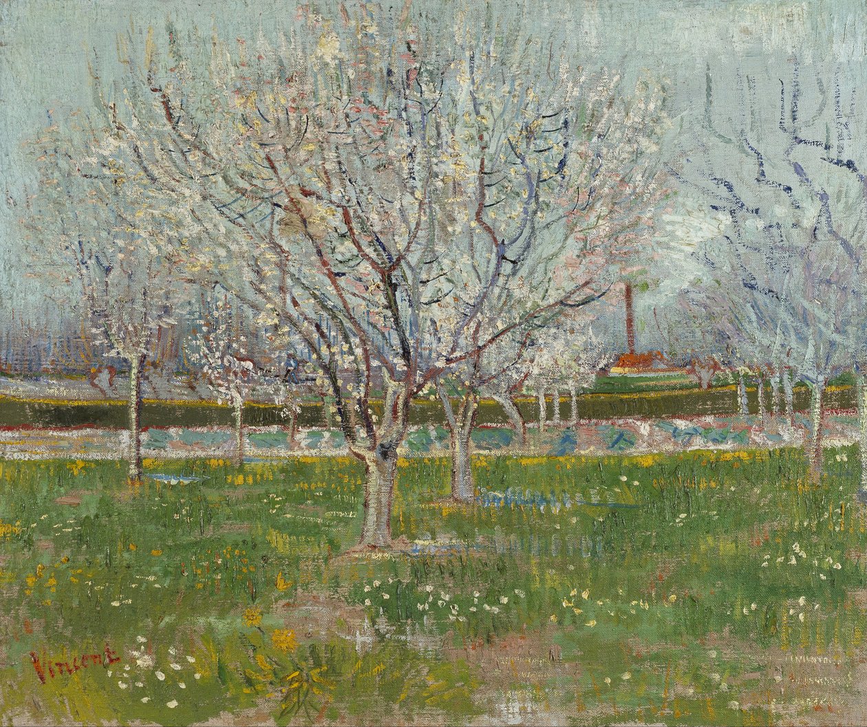 Orchard in Blossom (plommonträd) av Vincent van Gogh
