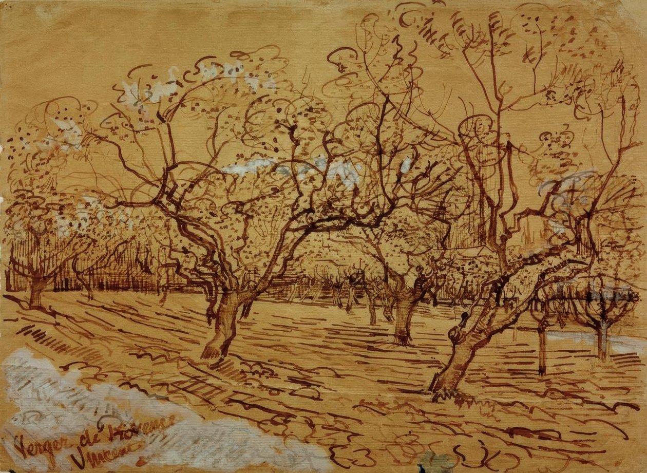 Provensalsk fruktträdgård av Vincent van Gogh