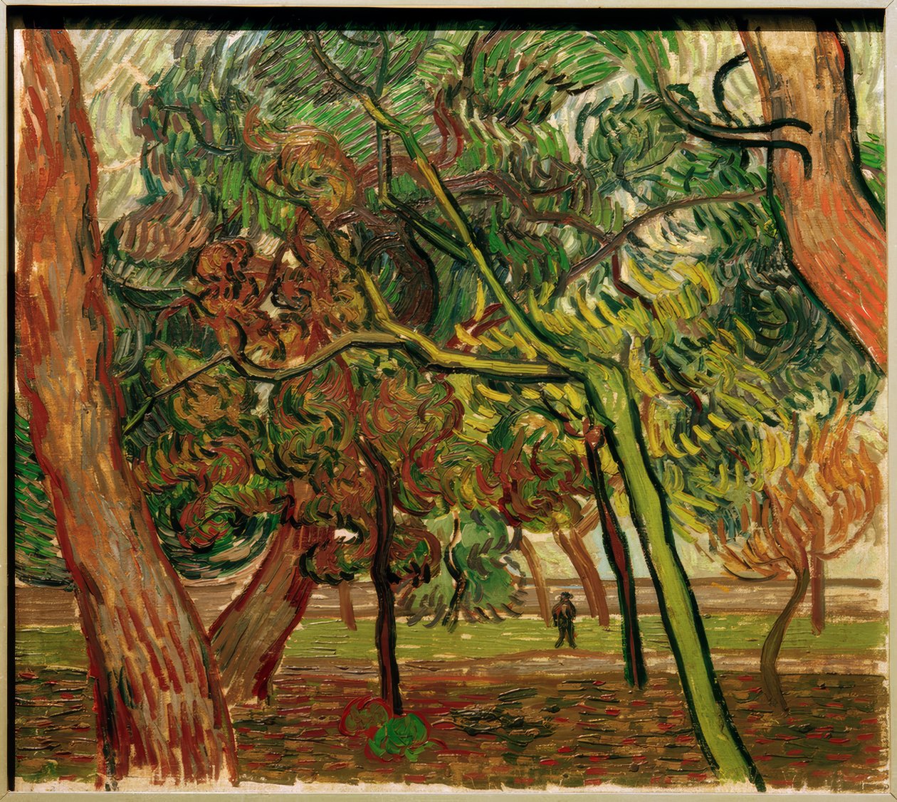 Studie med granar på hösten av Vincent van Gogh