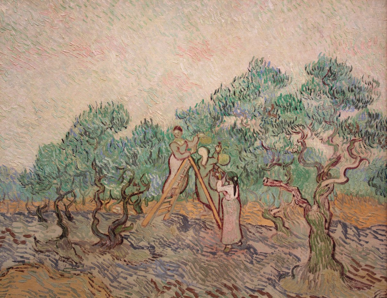 Olivträdgården av Vincent van Gogh
