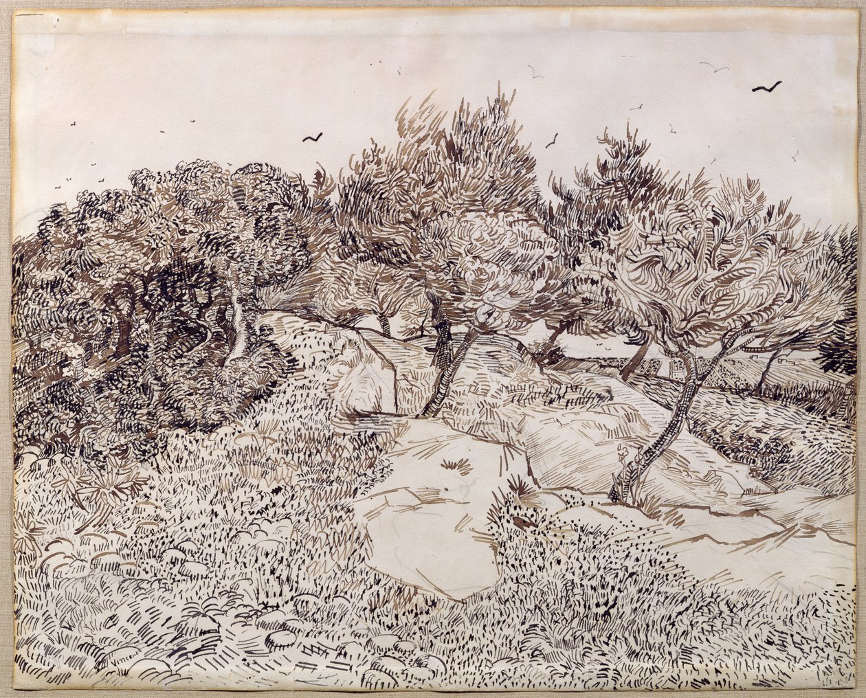 Olivträden av Vincent van Gogh
