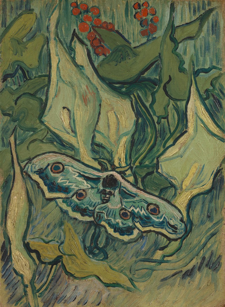 Skalle och korsben på arum av Vincent van Gogh