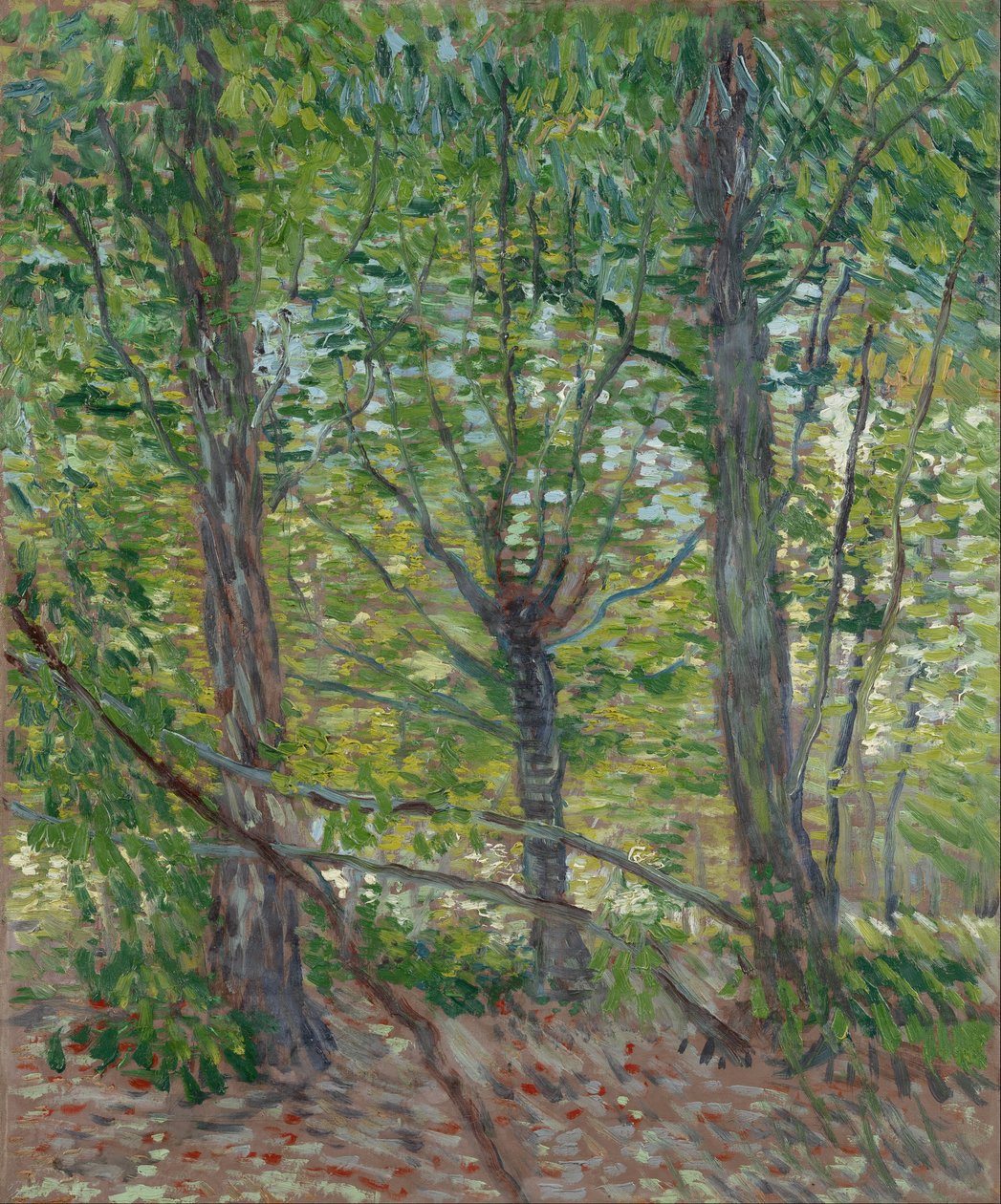 Träd av Vincent van Gogh