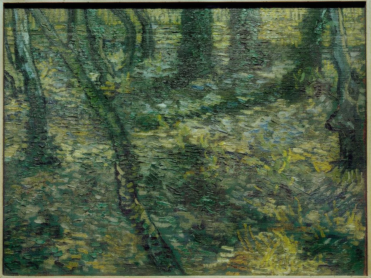 Undervegetation med murgröna av Vincent van Gogh