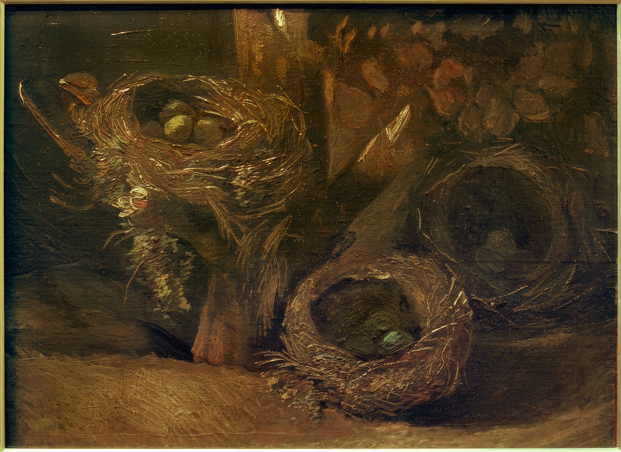 Fågelbon av Vincent van Gogh