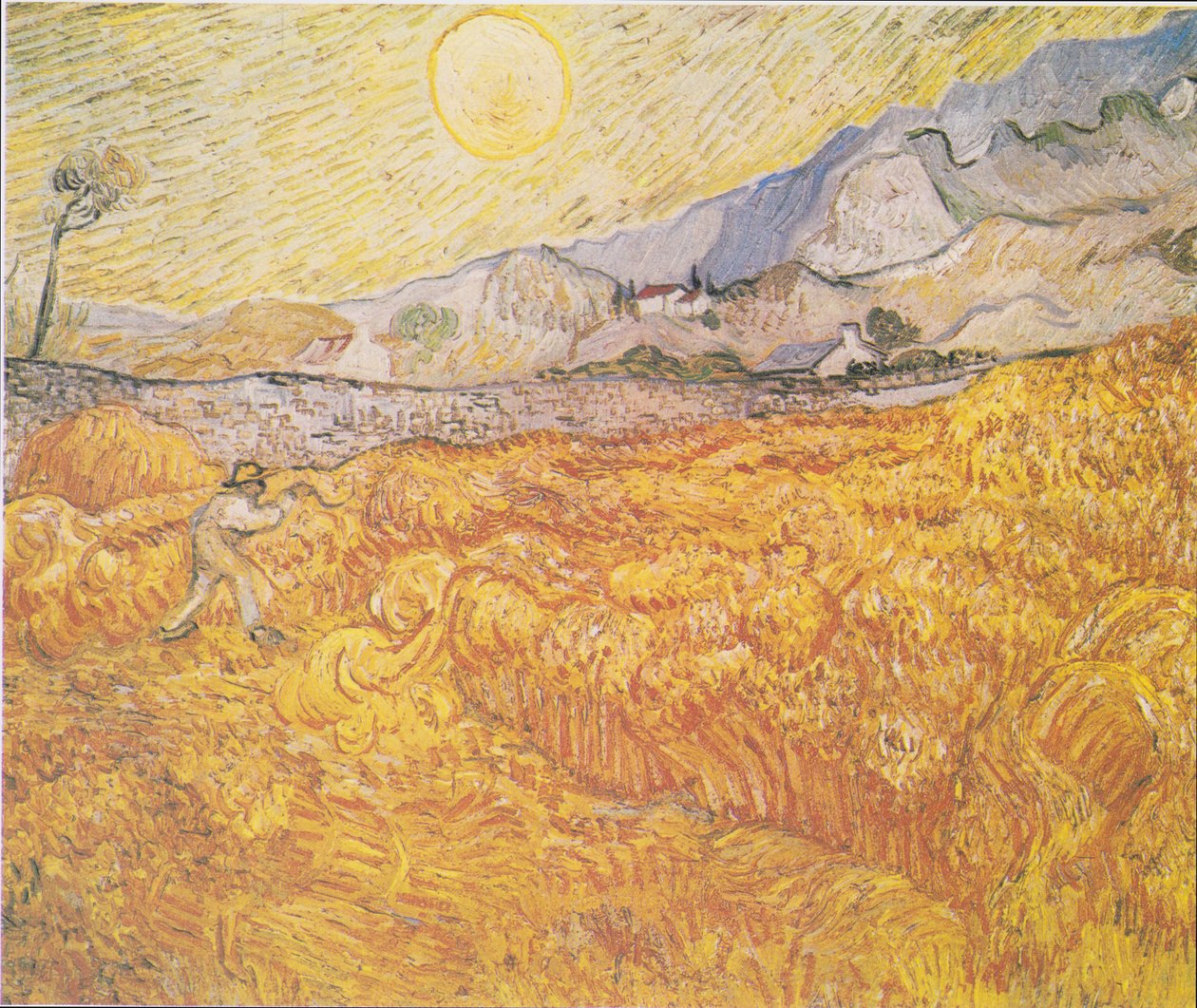 Vetefält bakom Saint-Paul-sjukhuset (Skörden) av Vincent van Gogh