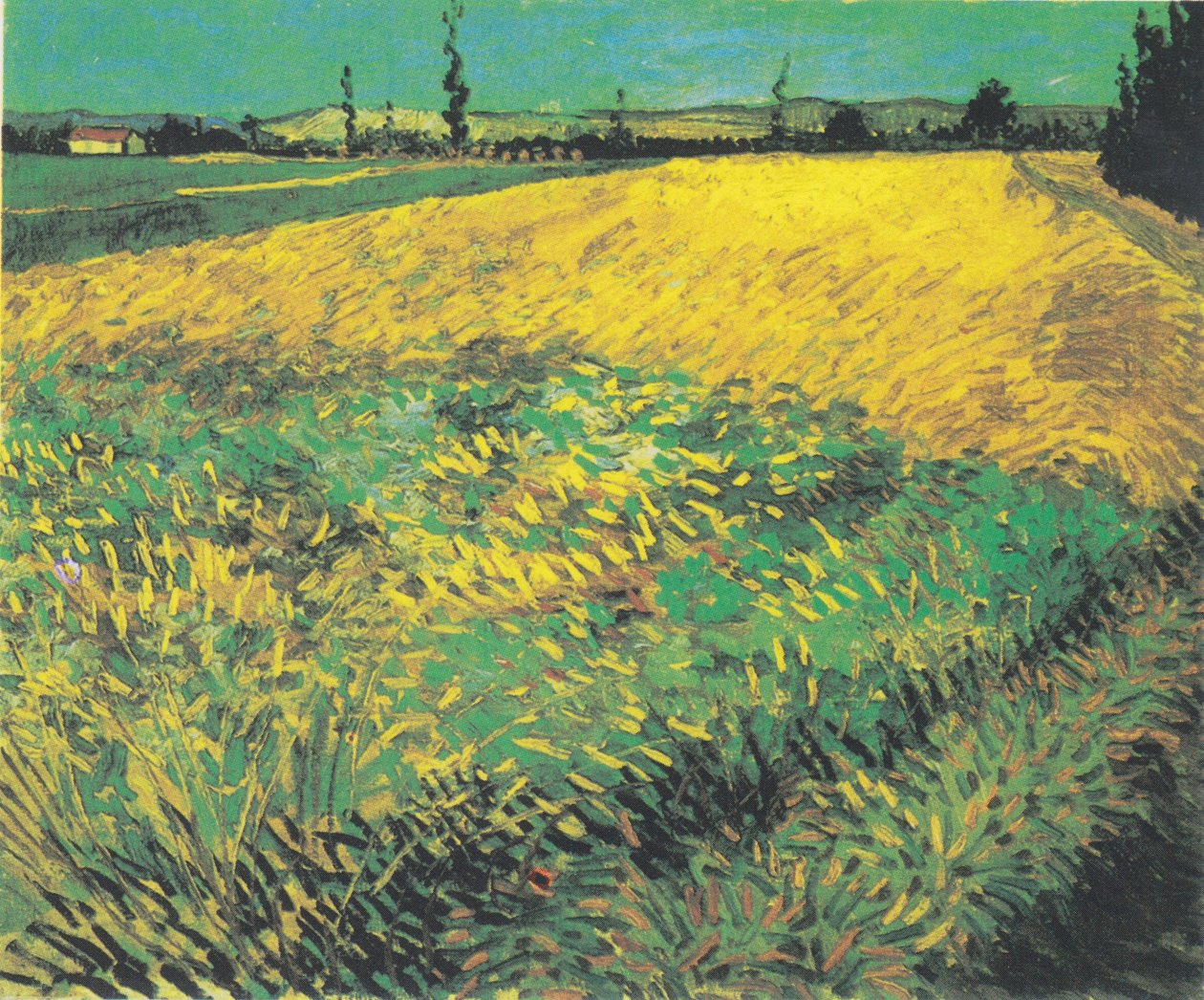 Vetefält med kullar i Alpillerna i bakgrunden av Vincent van Gogh
