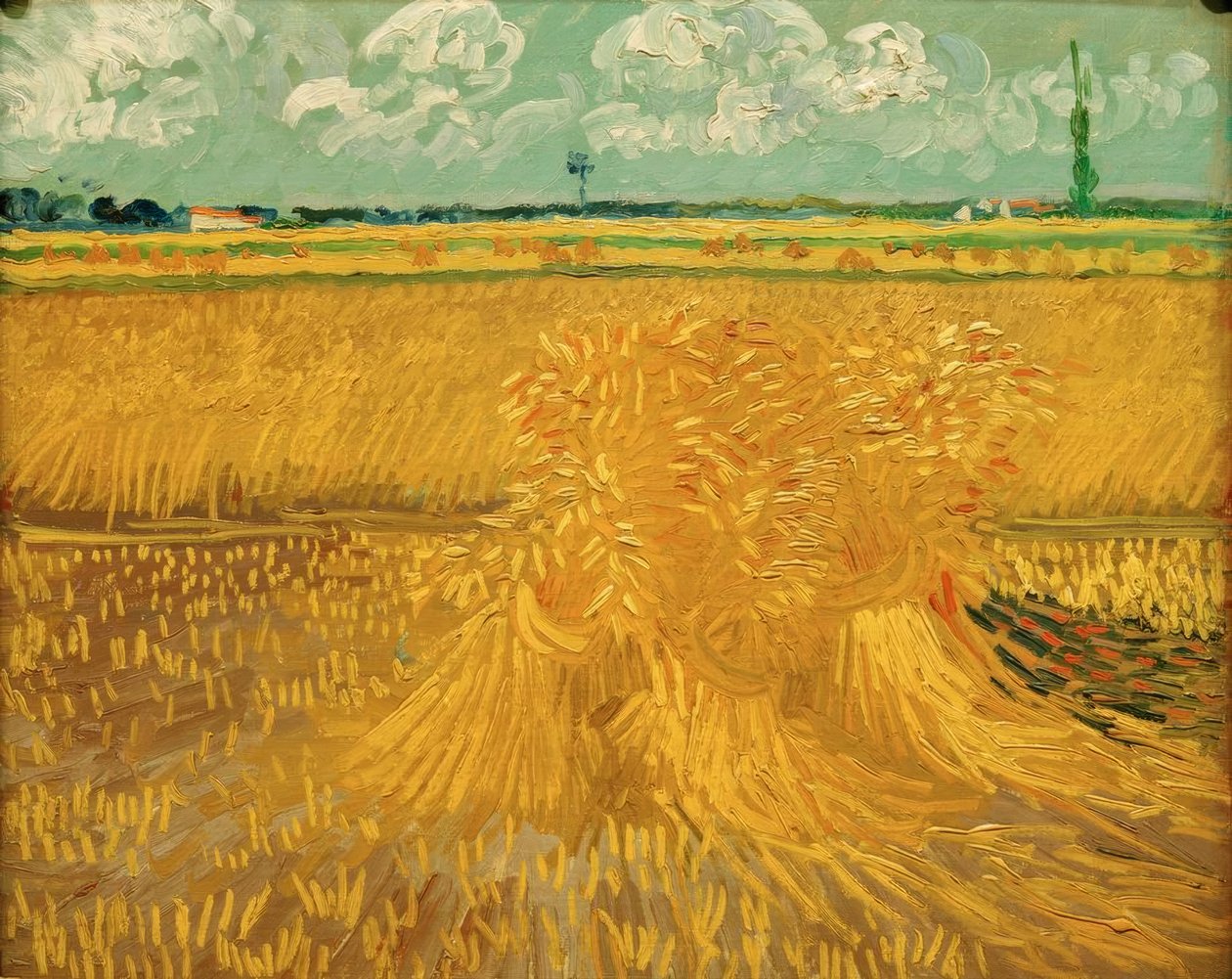 Vetefält med kornbuntar av Vincent van Gogh