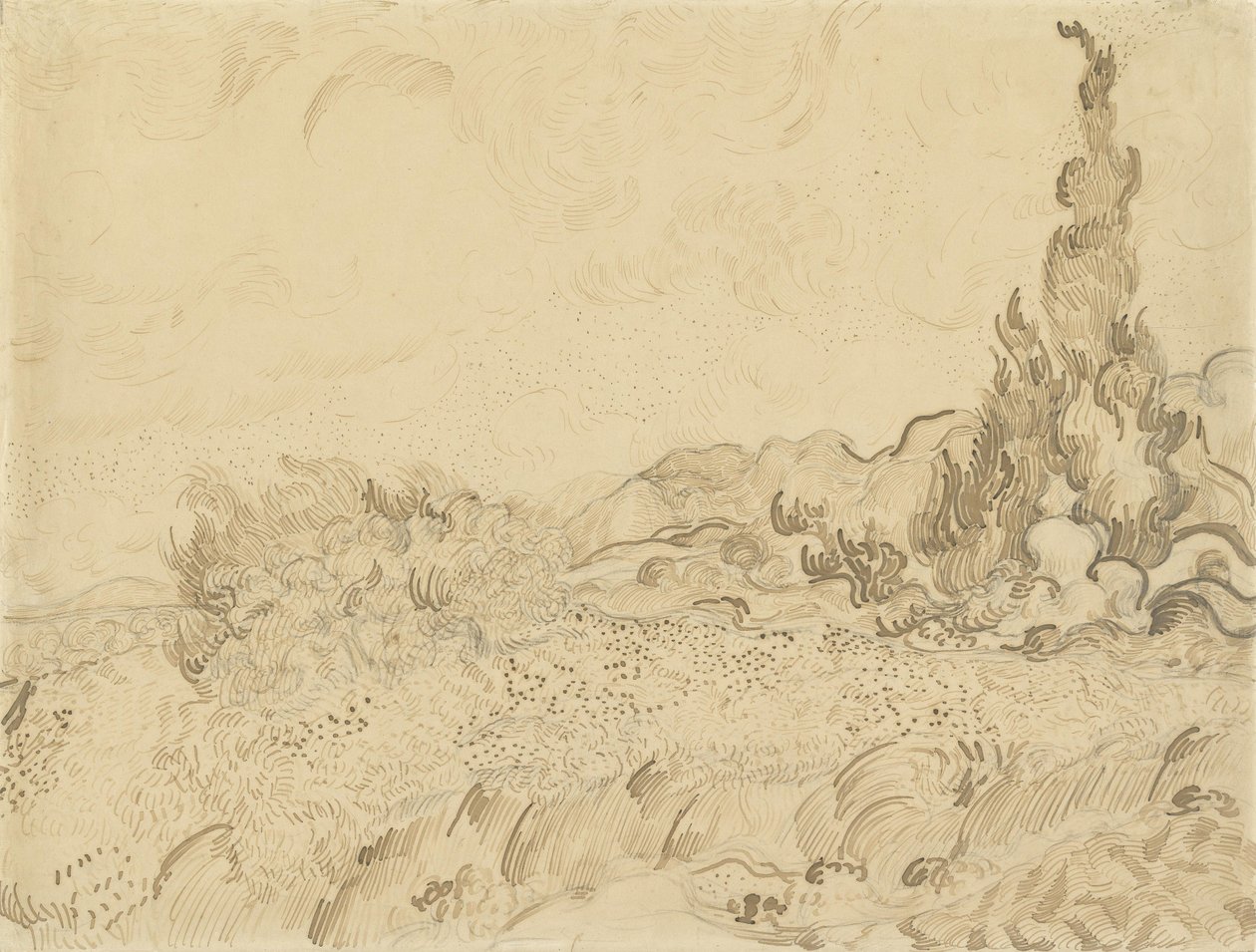 Vetefält med cypresser2 av Vincent van Gogh