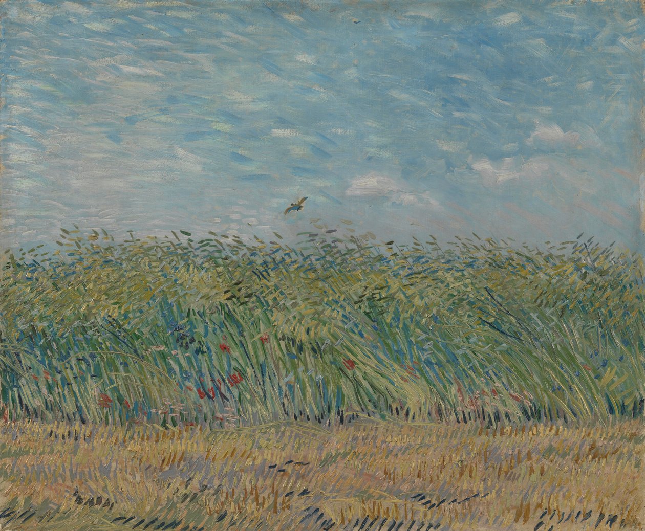 Vetefält med rapphöns, 1887 av Vincent van Gogh