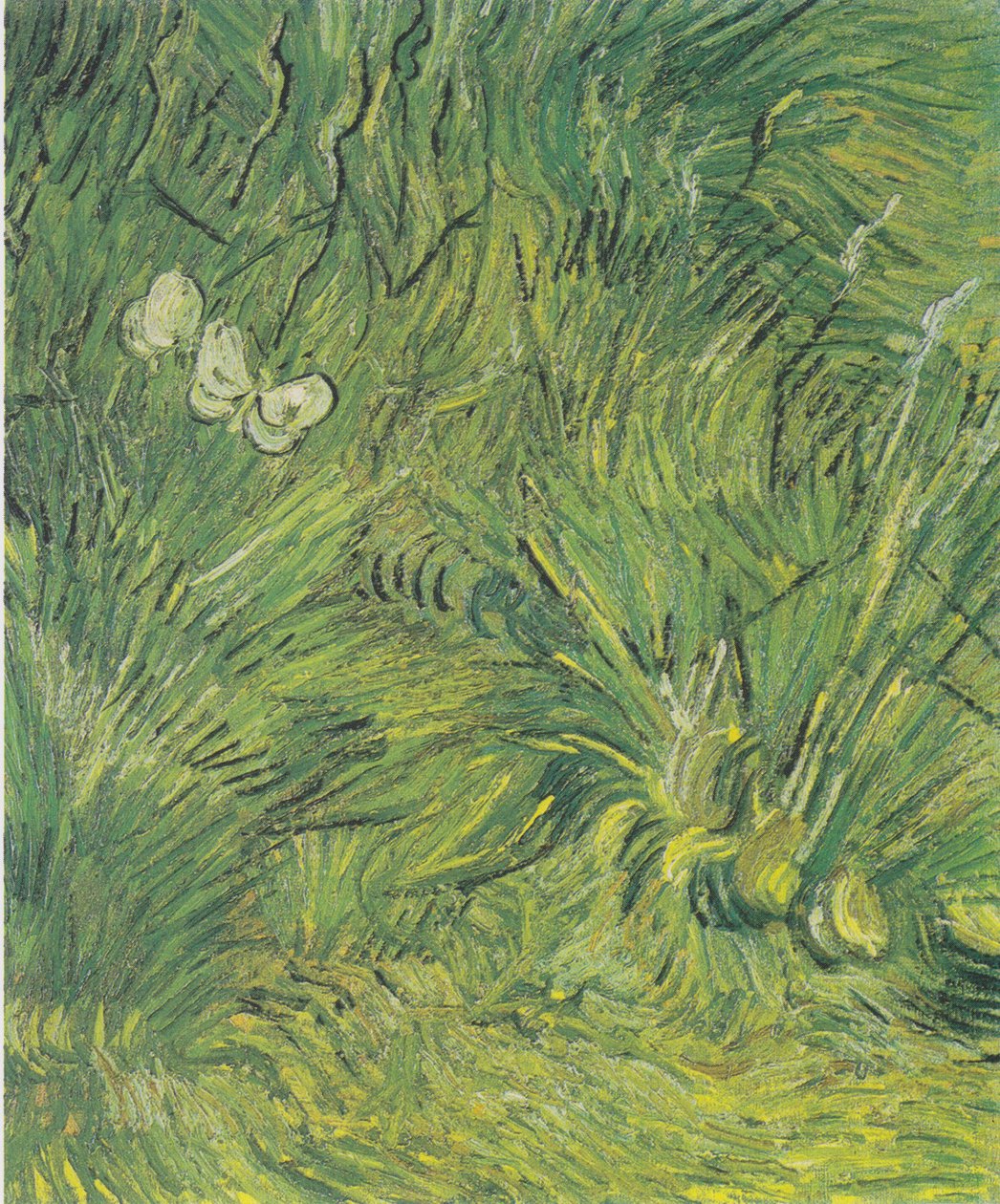 Två vita fjärilar av Vincent van Gogh