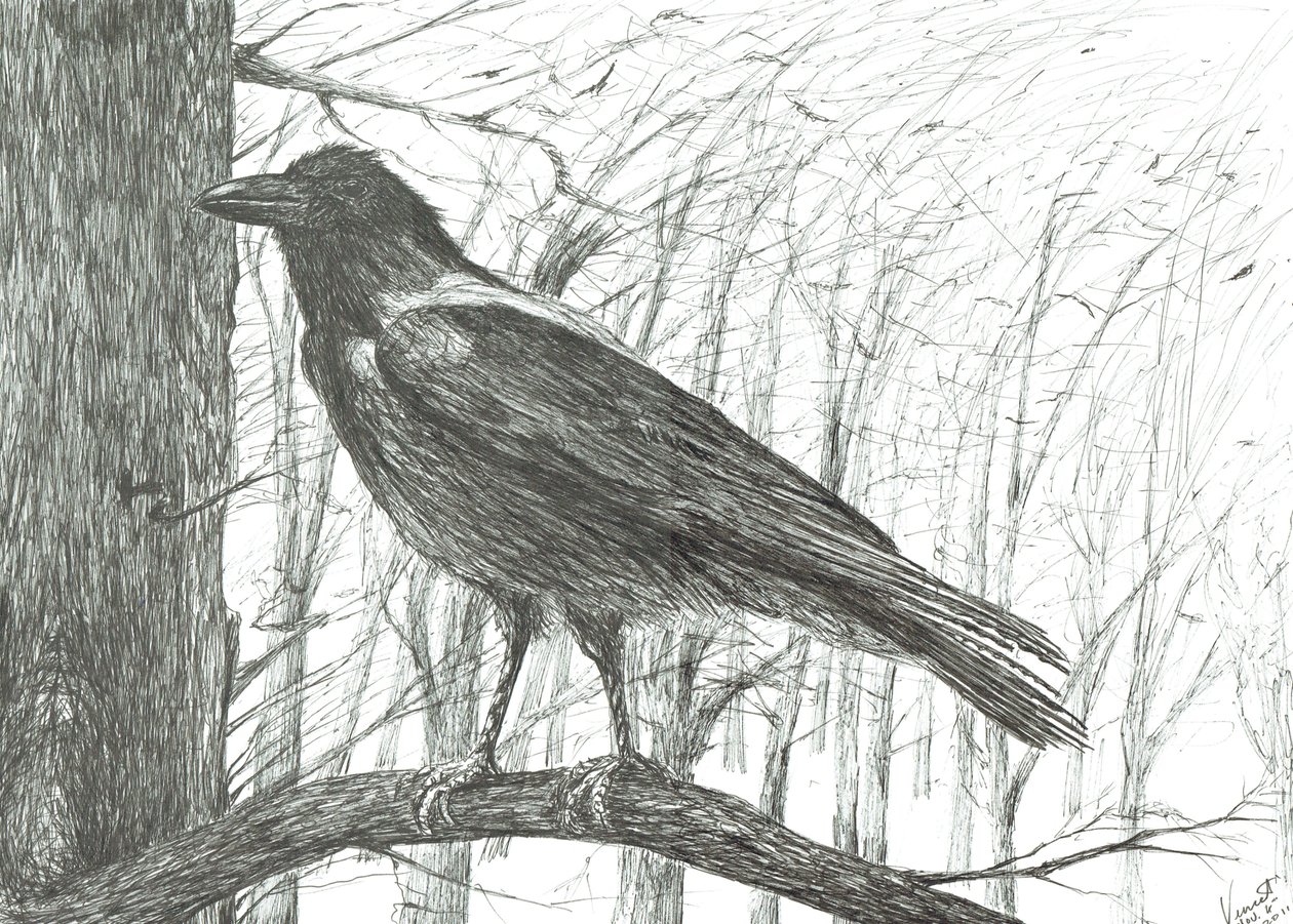 Fågel, 2011 av Vincent Alexander Booth