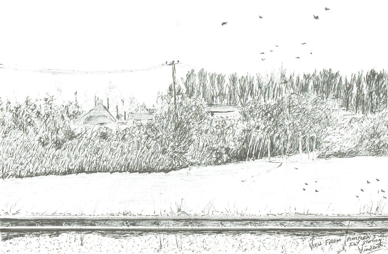 Ely stationsvy från plattform 3, 2005 av Vincent Alexander Booth