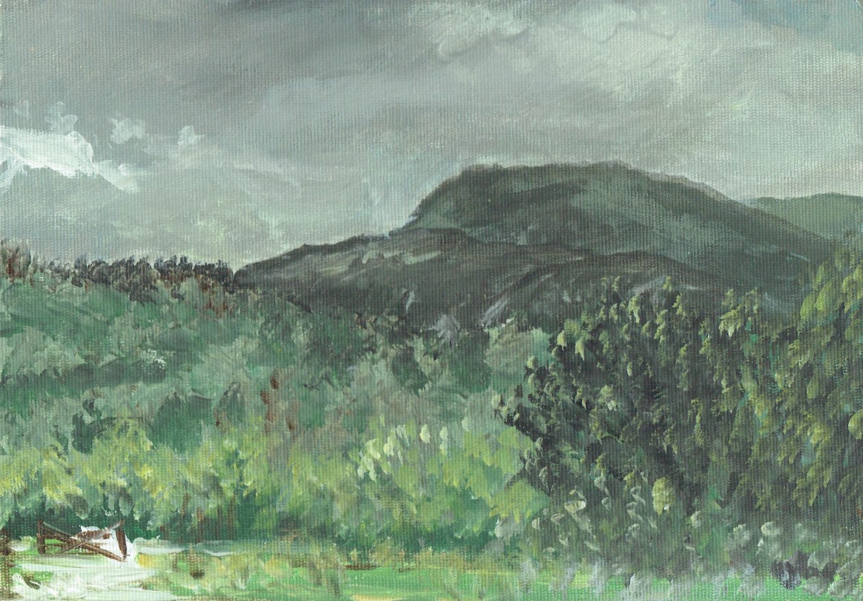 Hills at Creagdugh, 2006 av Vincent Alexander Booth