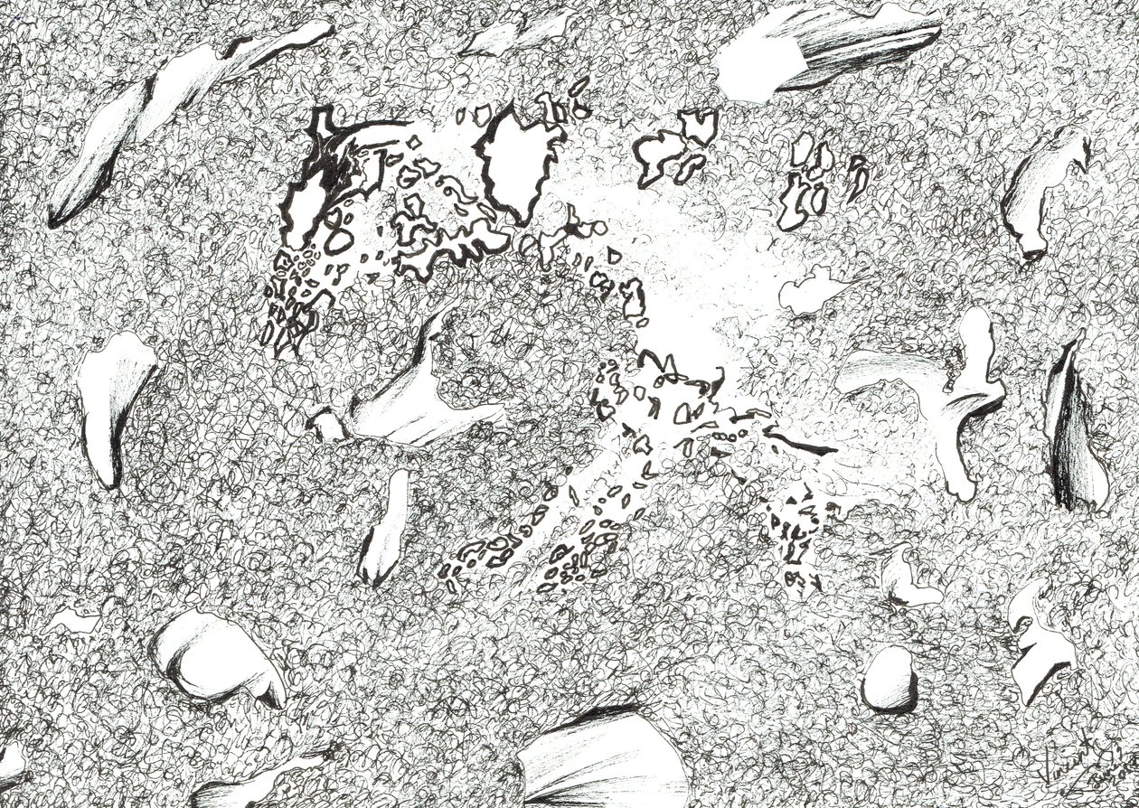 Horse Apparition, 2017, (bläck på papper) av Vincent Alexander Booth