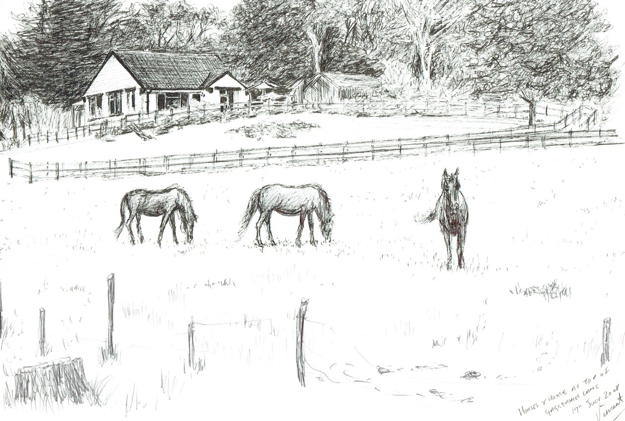 Hästar på toppen av banan, 2008 (bläck på papper) av Vincent Alexander Booth