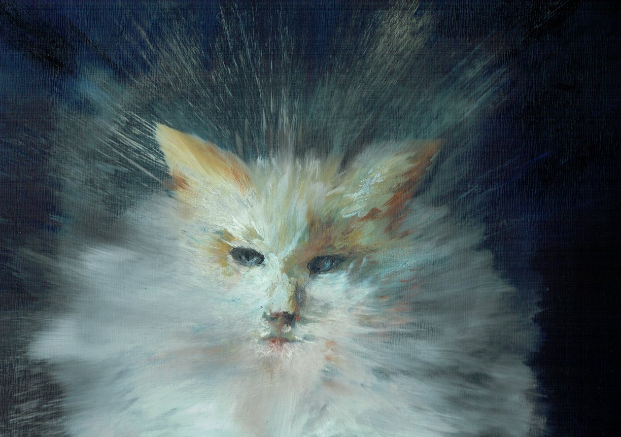 Monty fluffball, 2015, (olja på dukskiva) av Vincent Alexander Booth