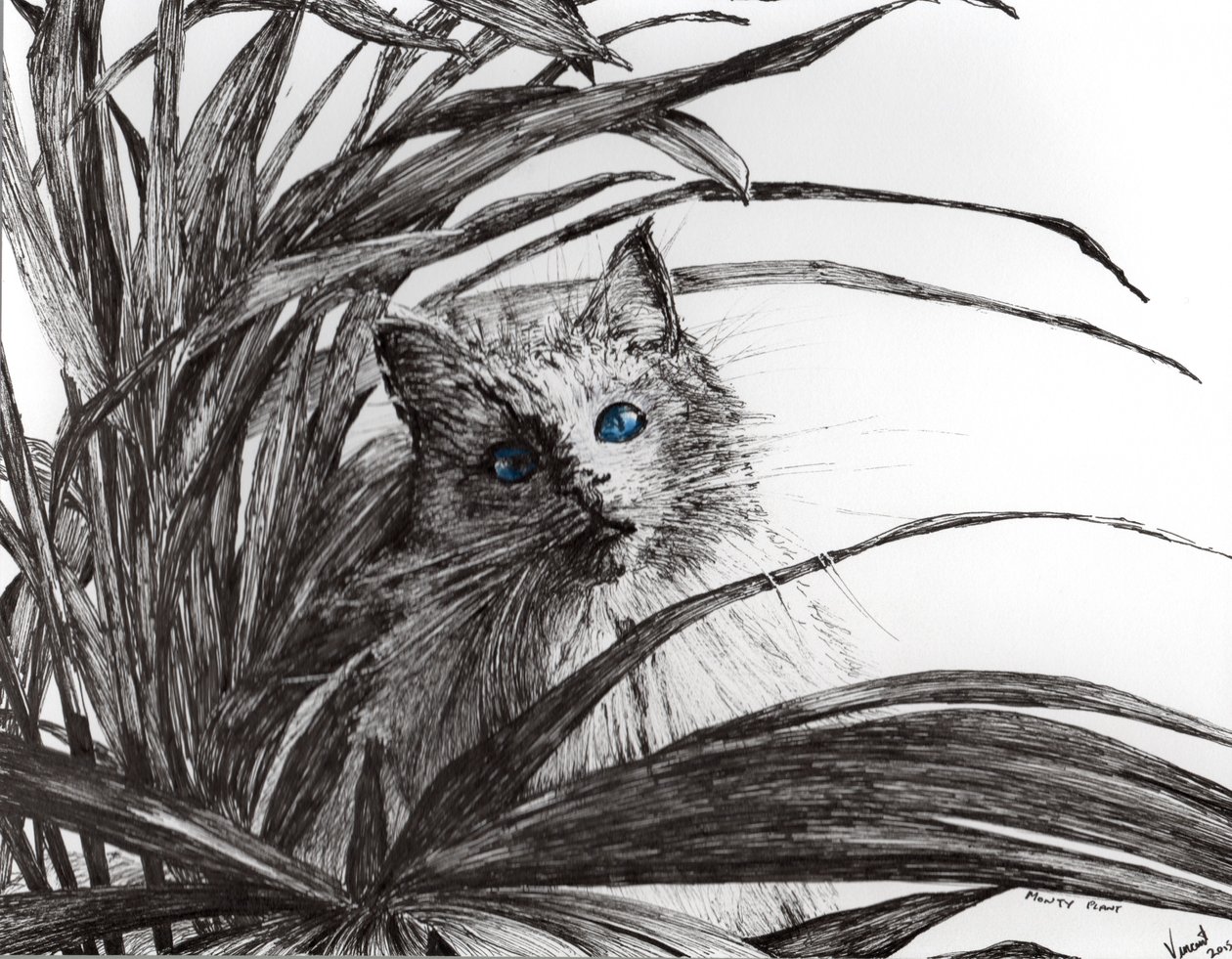 Monty plant, 2015, (bläck på papper) av Vincent Alexander Booth