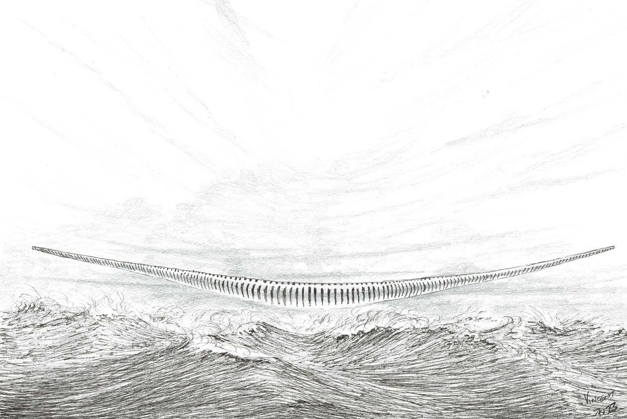 Storm Creators Cape Leveque, 2023 av Vincent Alexander Booth
