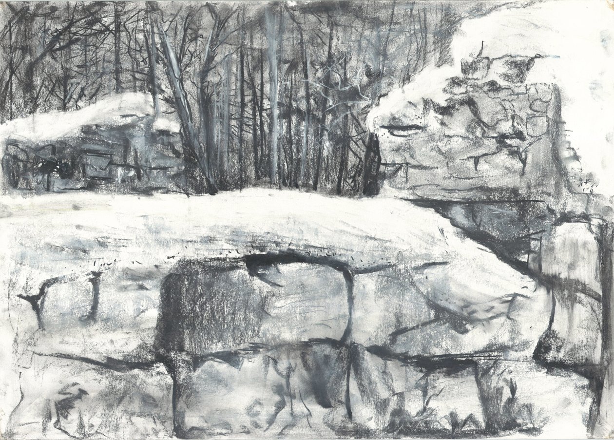 Wall in the Woods Osmotherley av Vincent Alexander Booth