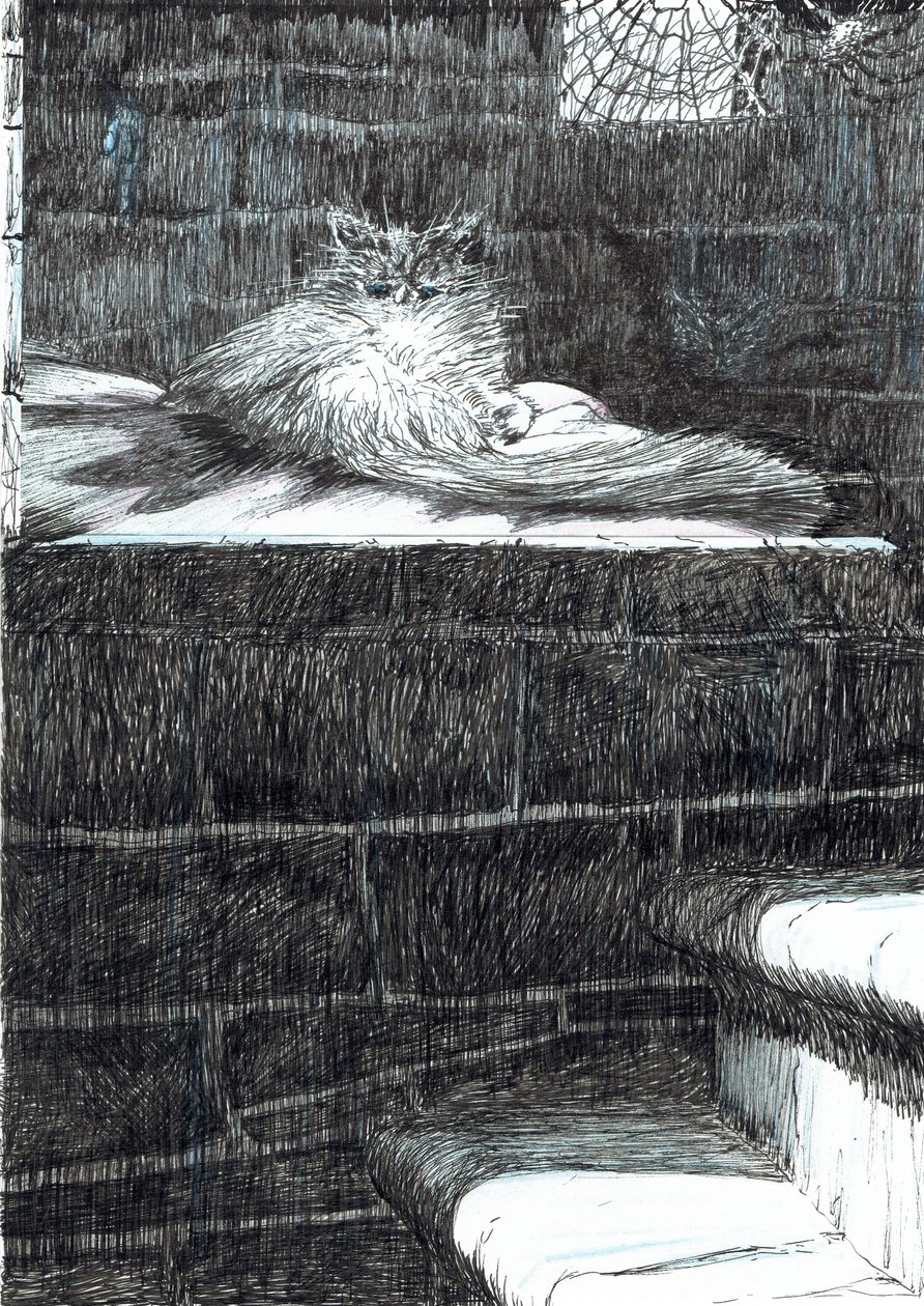 sida 21, Slottet i skogen Findhorn, 2006, (bläck på papper) av Vincent Alexander Booth