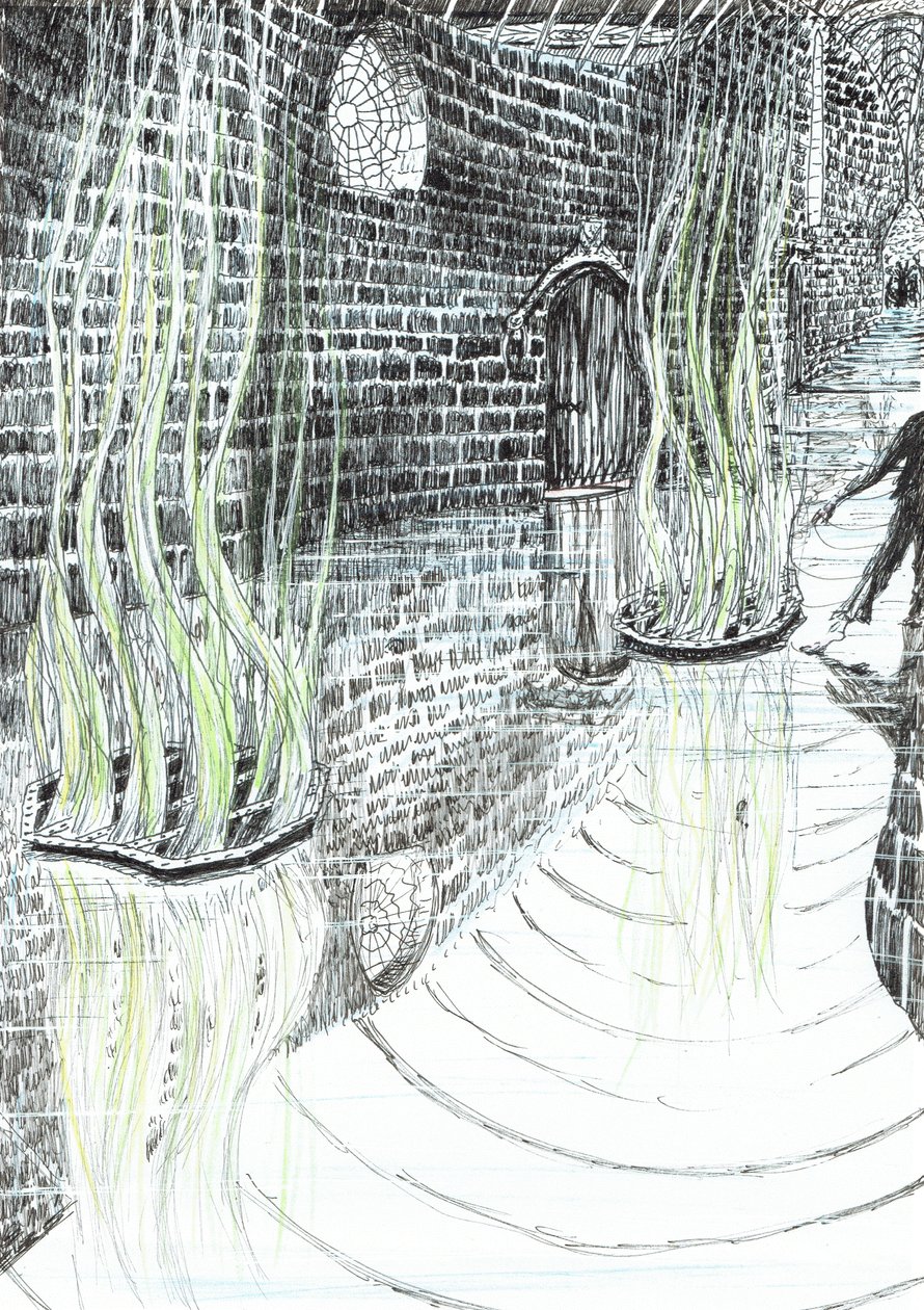 page29, The Castle in the Forest of Findhorn, 2006, (bläck på papper) av Vincent Alexander Booth