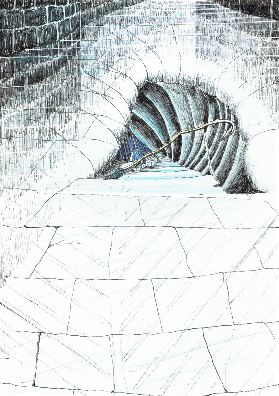 sida 45, Slottet i skogen Findhorn, 2006, (bläck på papper) av Vincent Alexander Booth