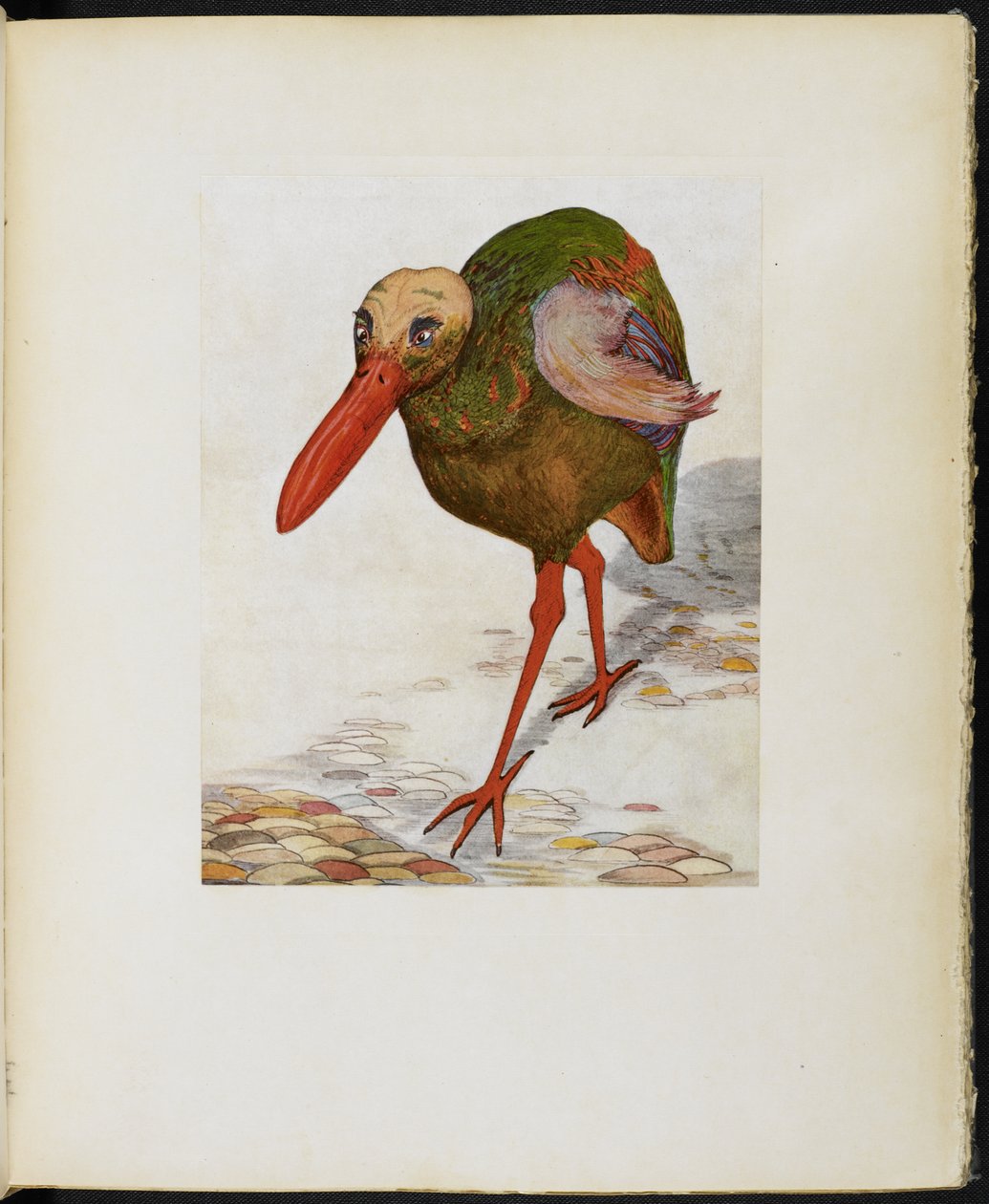 Great Skull-Headed Stone Trot, från "The Google Book" av Vincent Cartwright Vickers av Vincent Cartwright Vickers
