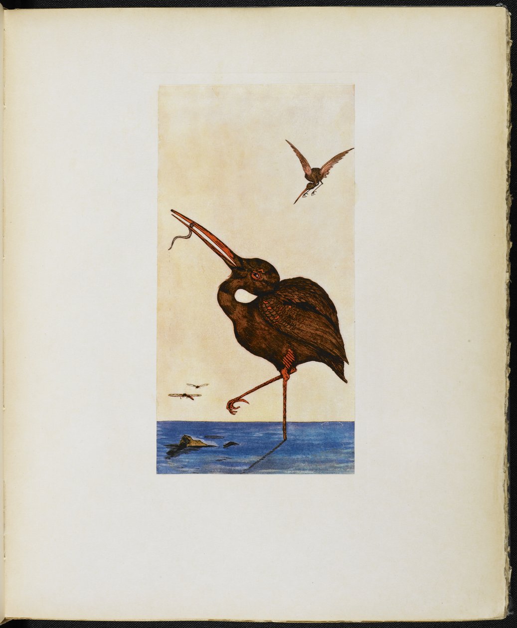 The Brown Willy, från "The Google Book" av Vincent Cartwright Vickers av Vincent Cartwright Vickers