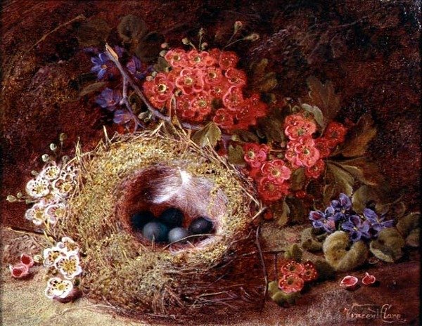 Stilleben av ett fågelbo och en blomma av Vincent Clare