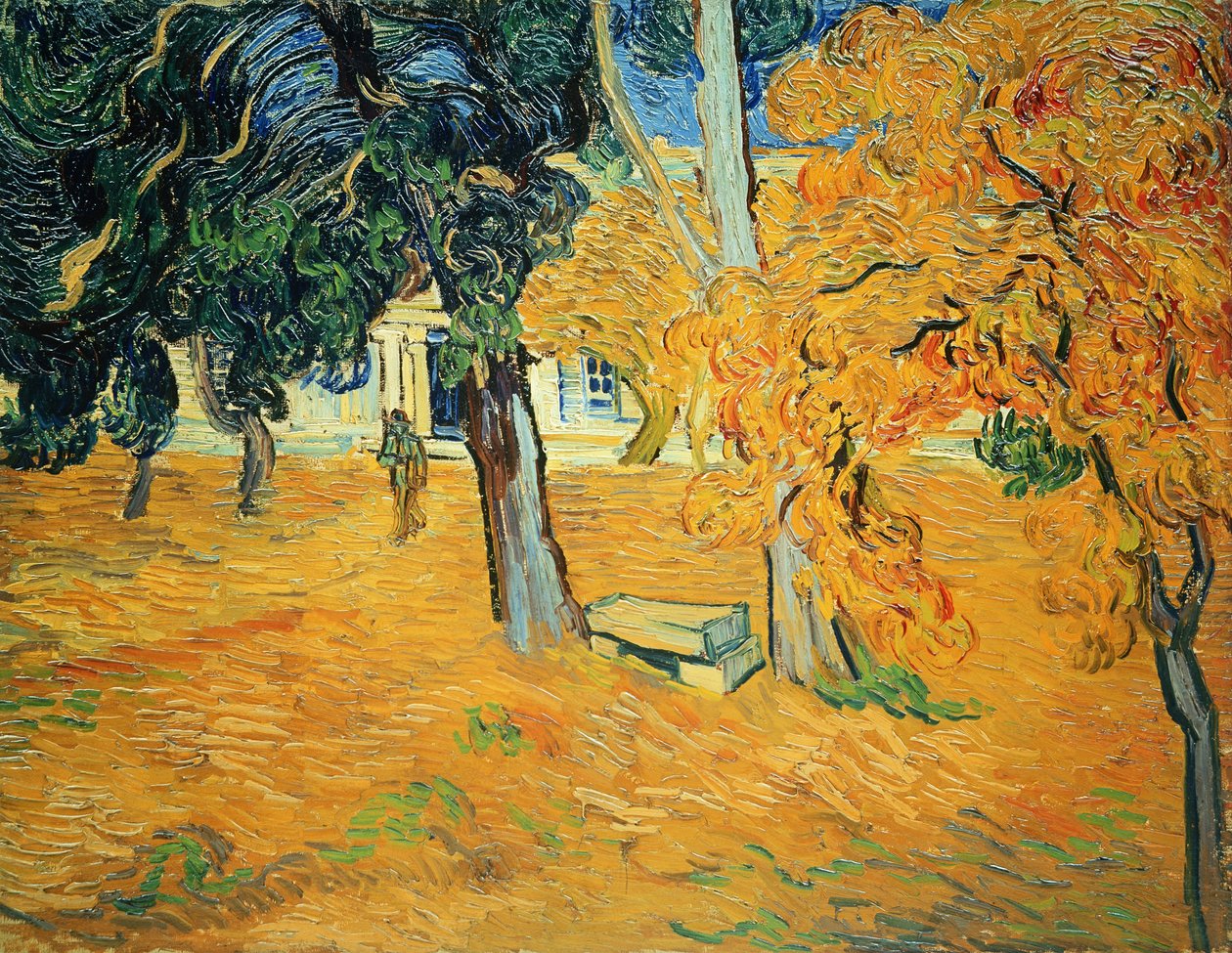 Trädgård i Saint Paul