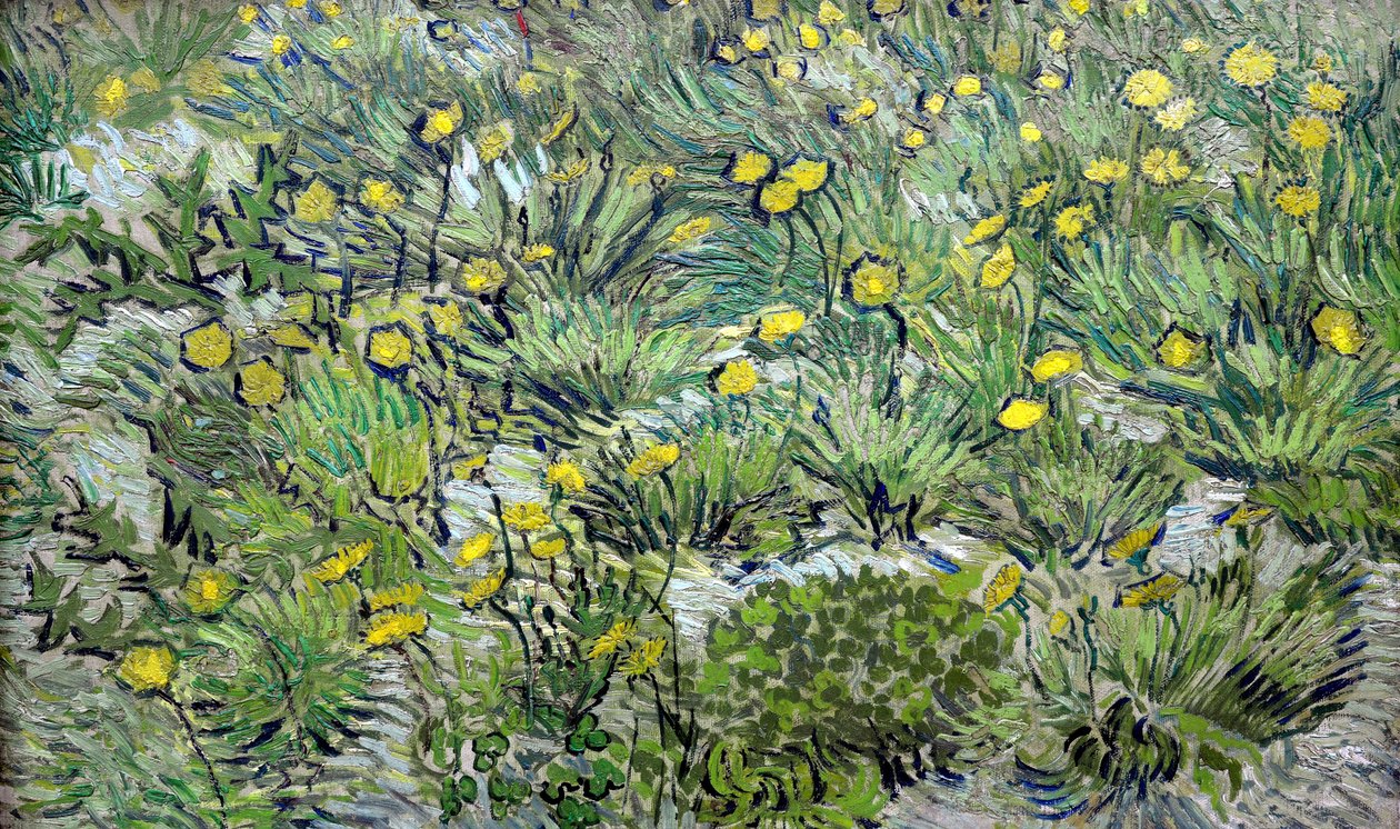 Maskrosorna Maskrosorna, 1889. av Vincent van Gogh