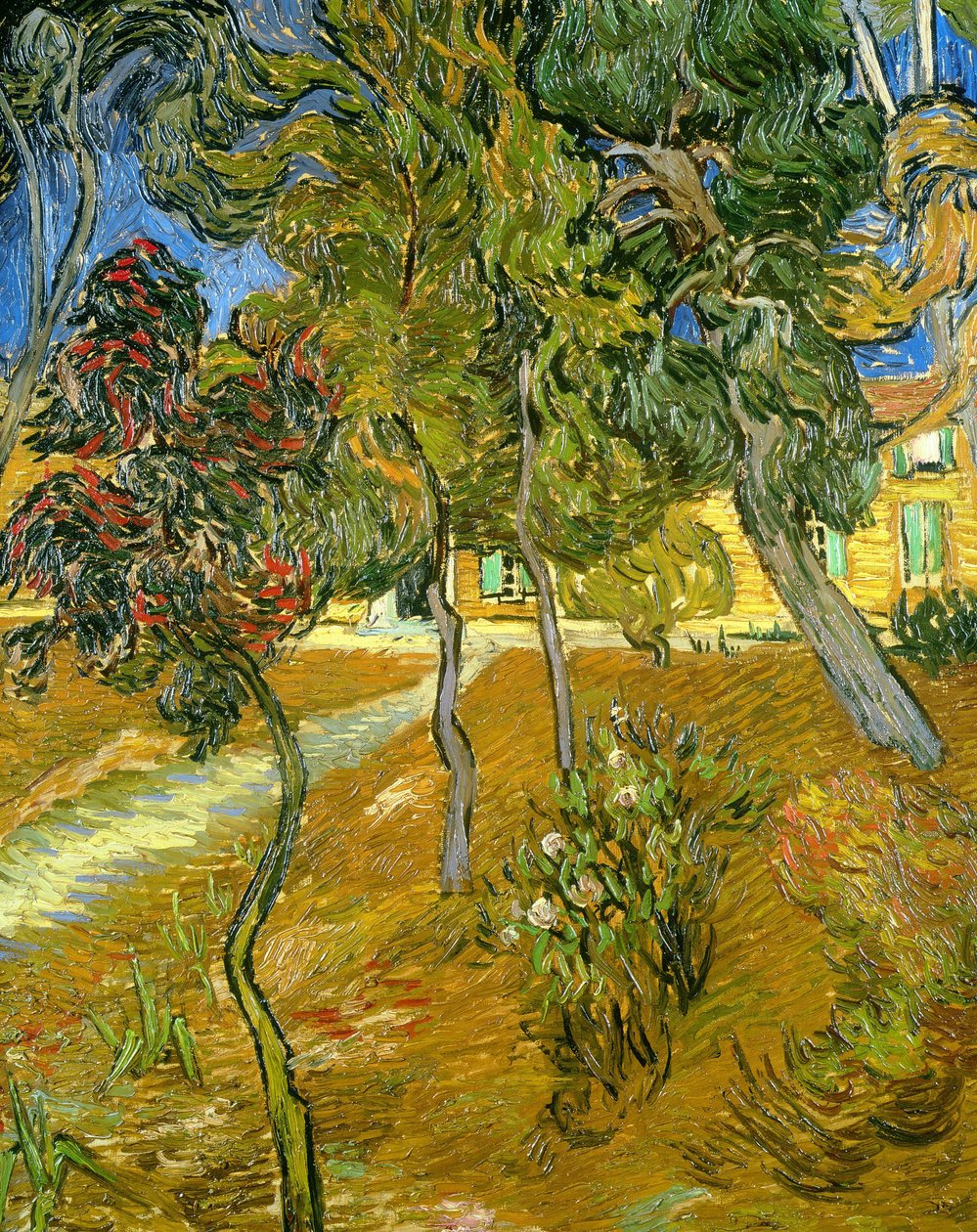 Träd i asylens trädgård, 1889. av Vincent van Gogh
