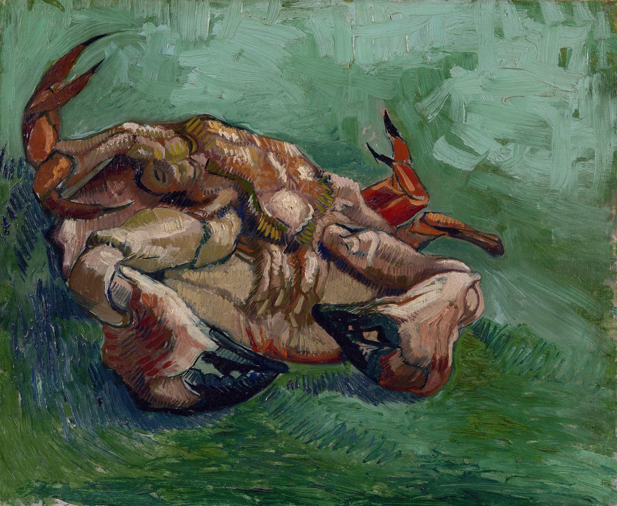 A Crab on its Back av Gogh, Vincent, van (1853-1890). Olja på duk, storlek: 38x46,8 av Vincent van Gogh
